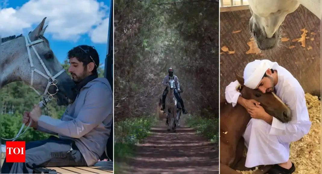 Inside Dubai Crown Prince Sheikh Hamdan’s lavish and extreme lifestyle: From scaling the Burj Khalifa to skydiving | World News