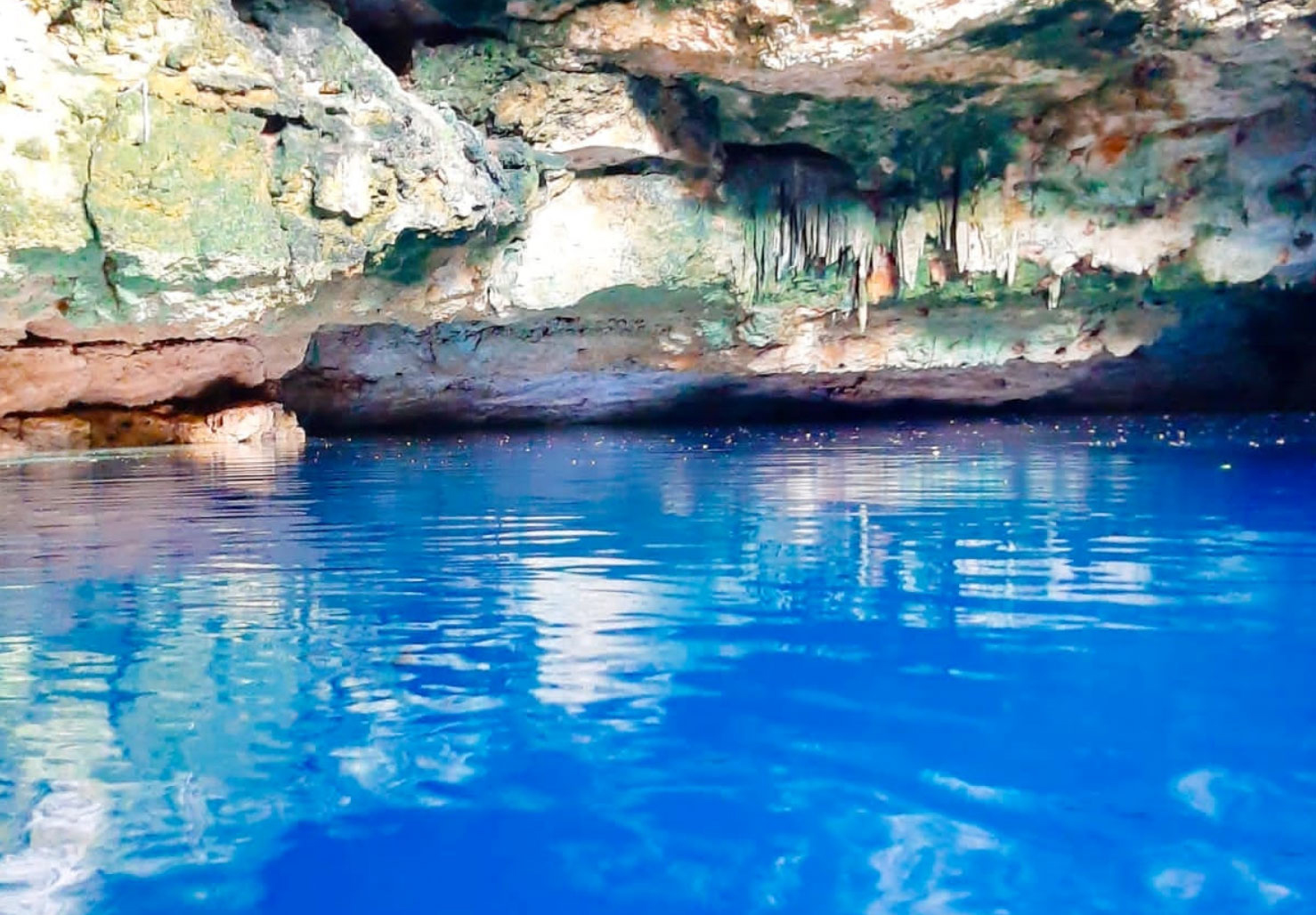 Divers at Tekit Cenote Haul Away 225 Pounds of Trash
