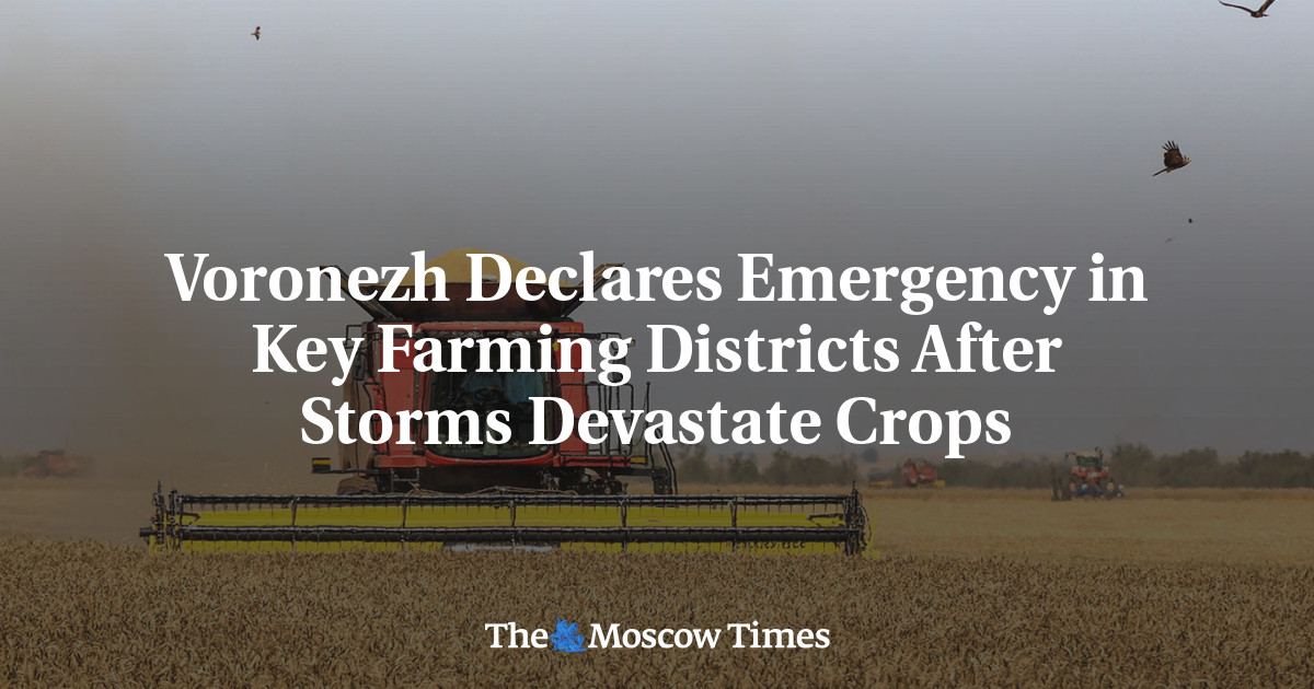 Voronezh Declares Emergency in Key Farming Districts After Storms Devastate Crops