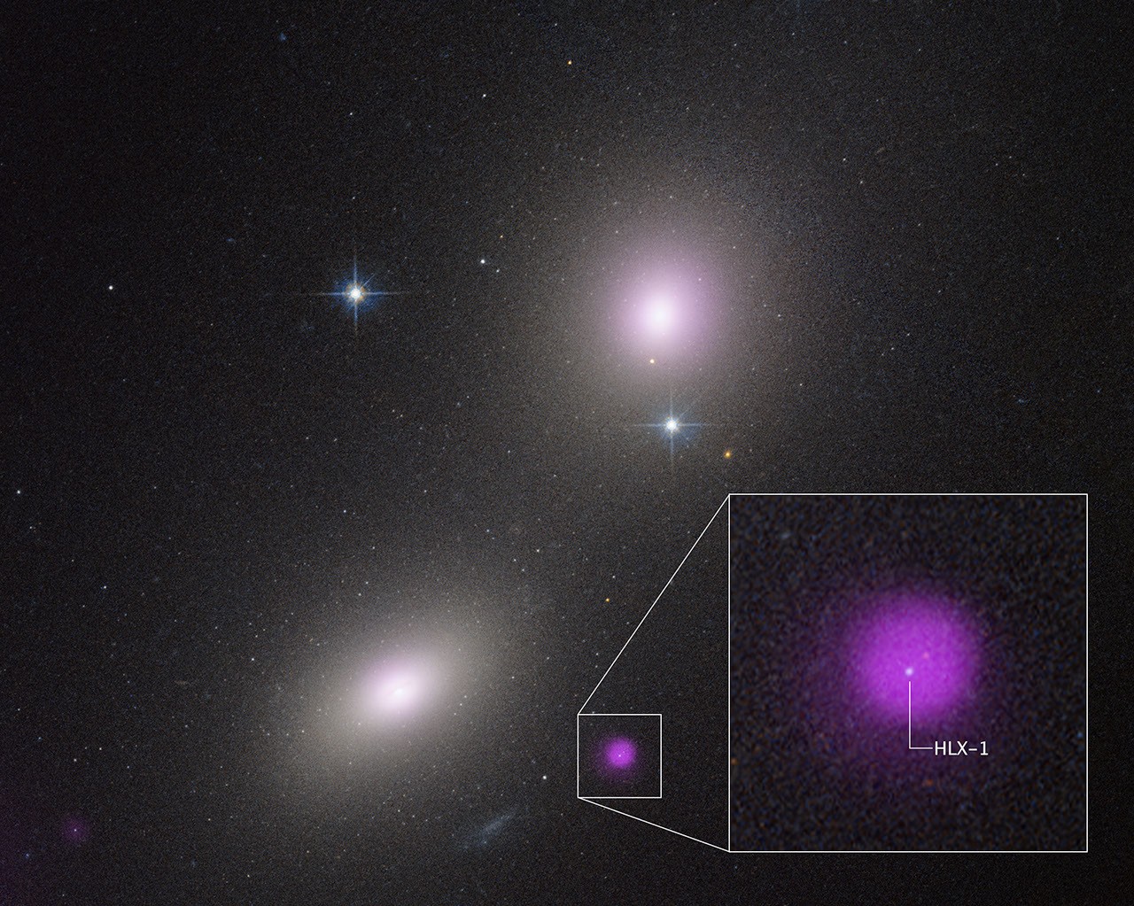 NASA's Hubble, Chandra Spot Rare Type of Black Hole Eating a Star