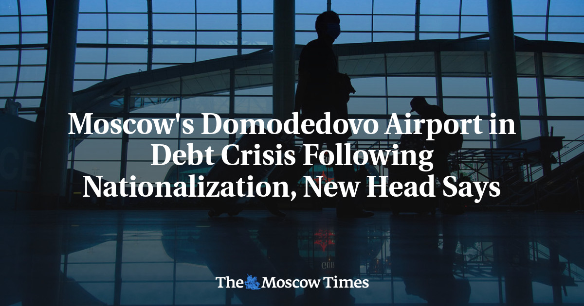 Moscow's Domodedovo Airport in Debt Crisis Following Nationalization, New Head Says