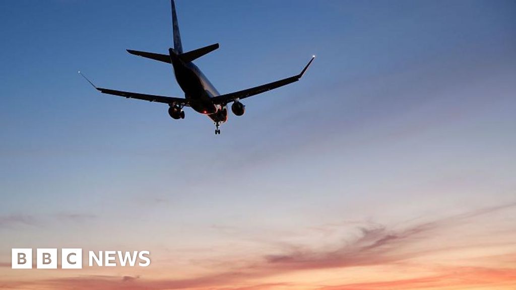 Delta pilot makes 'aggressive manoeuvre' to avoid midair collision with fighter jet