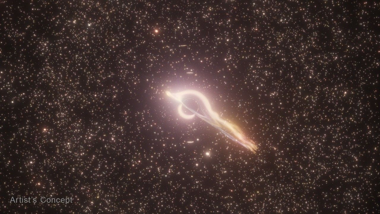 HLX-1 Animation