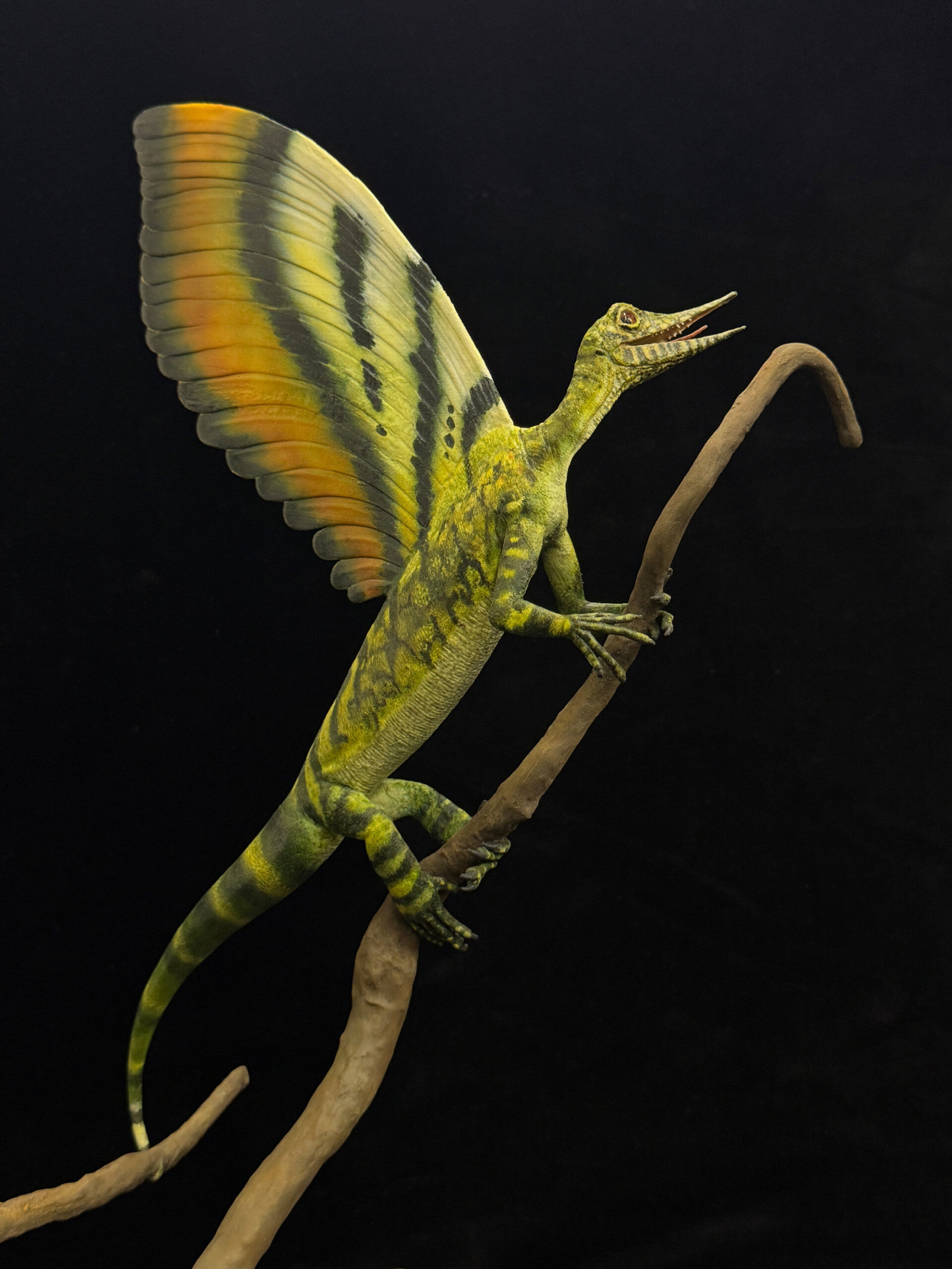 Feather-like crest on Triassic reptile challenges ideas about reptile evolution