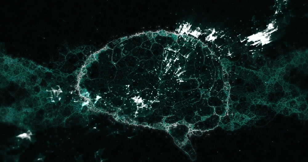 Ohio State initiative aims to help community improve brain health