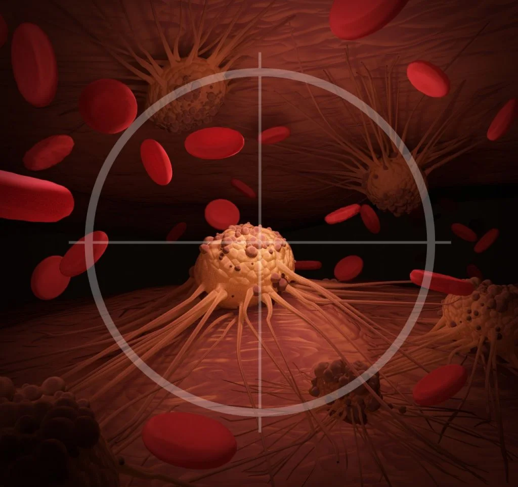 New synthetic molecule targets and kills breast and pancreatic cancers in as few as three doses