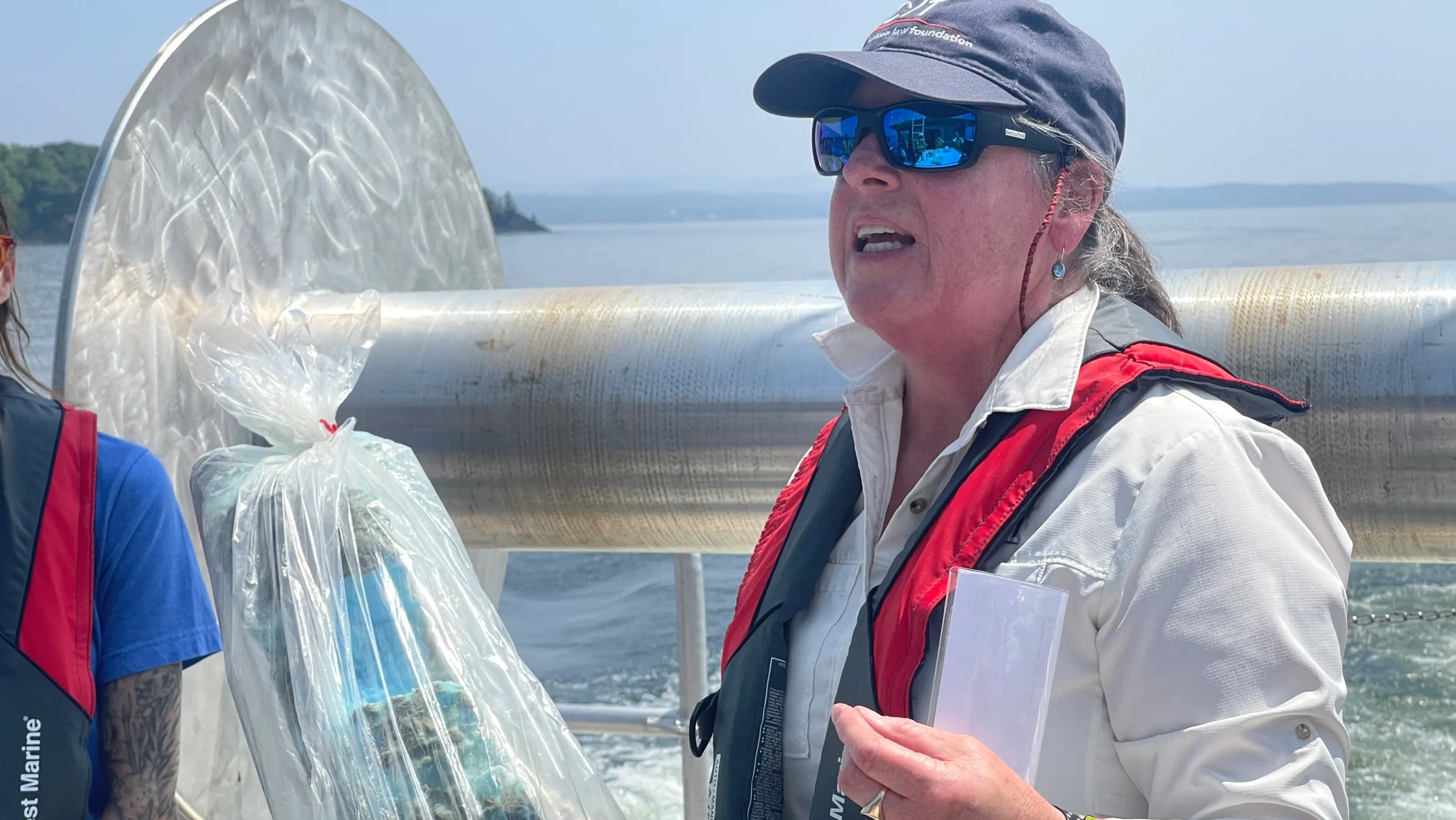 What environmental organizations are doing about the pollution in Lake Champlain