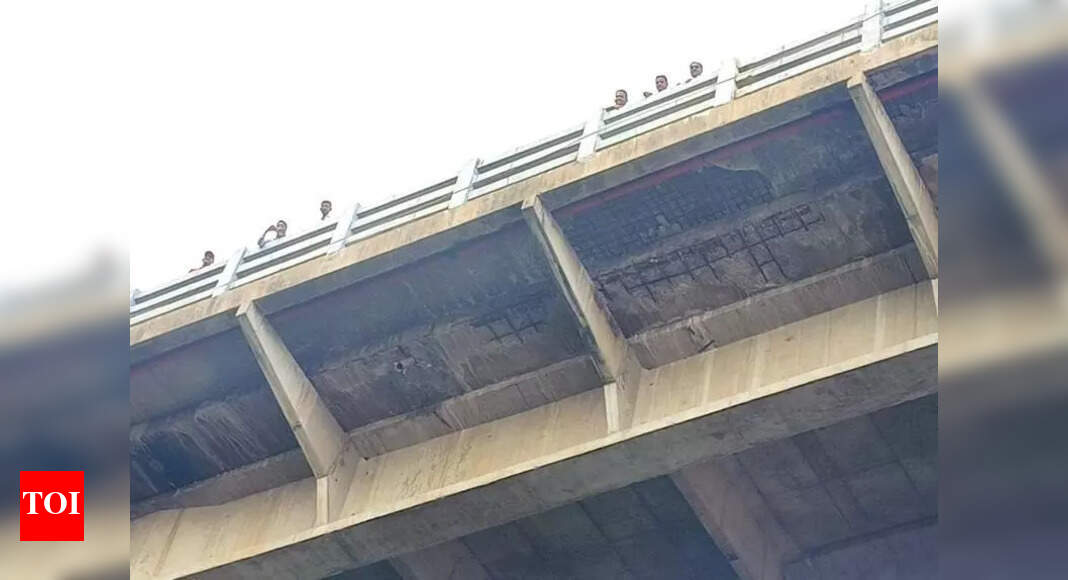 All 41 operational bridges in Vadodara declared safe in pre-monsoon survey | Vadodara News