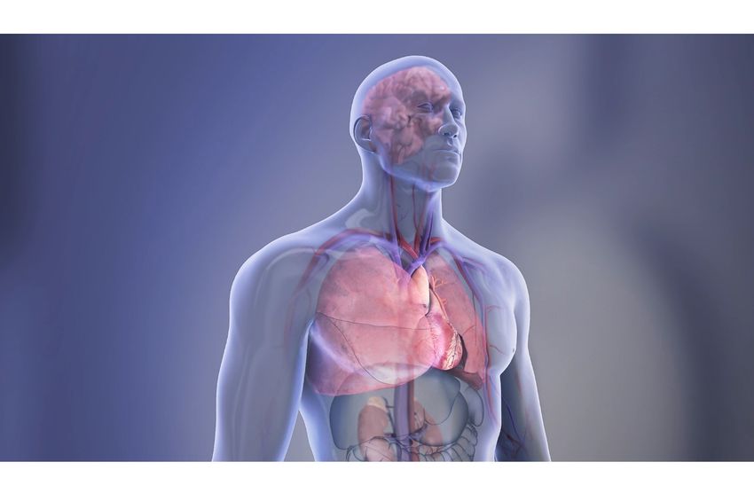 Screening for cardiovascular disease marker in community health centers may reduce risk