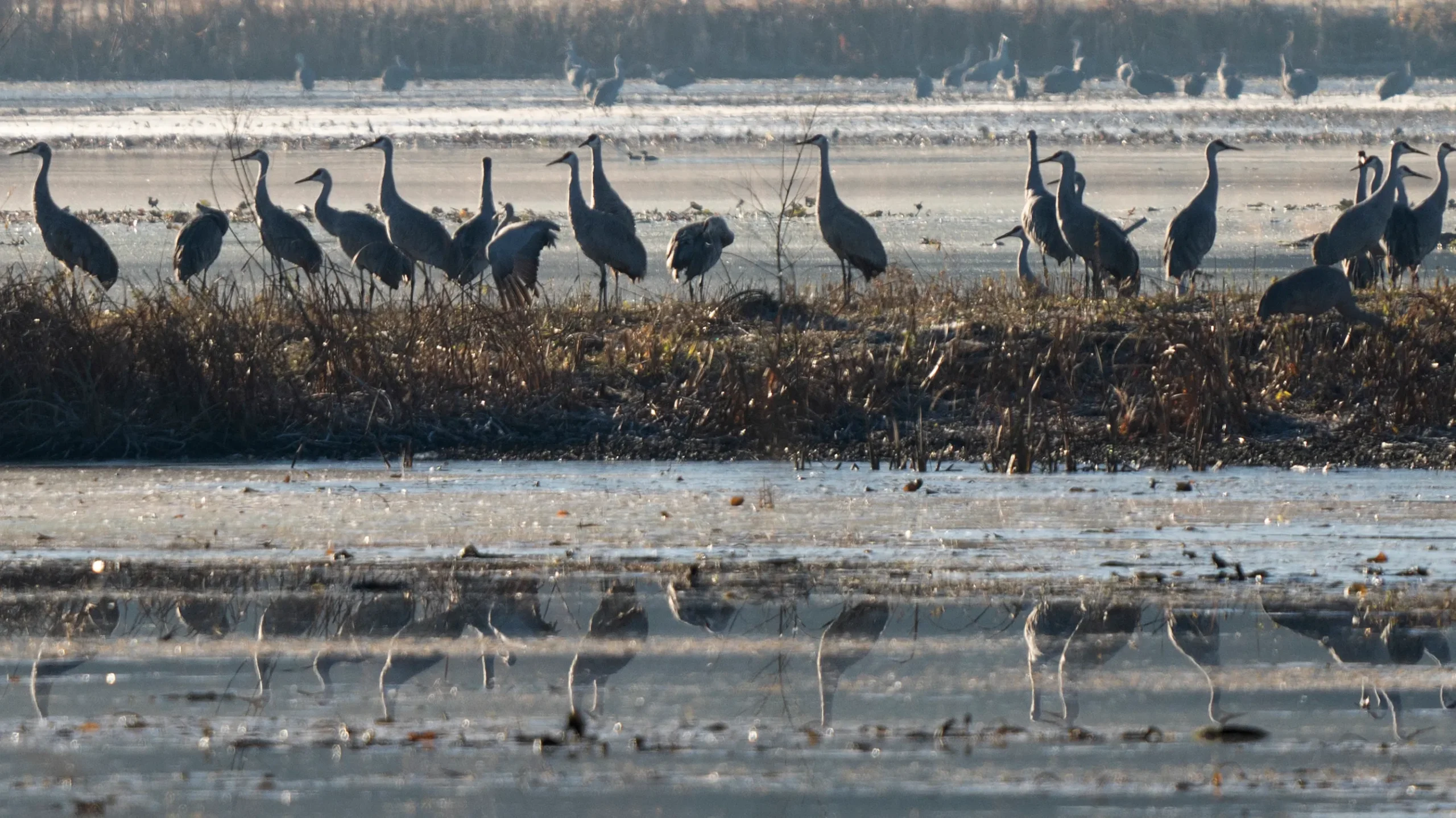 Hoosiers ask Braun, IDEM to maintain environmental rules protecting air, water and land