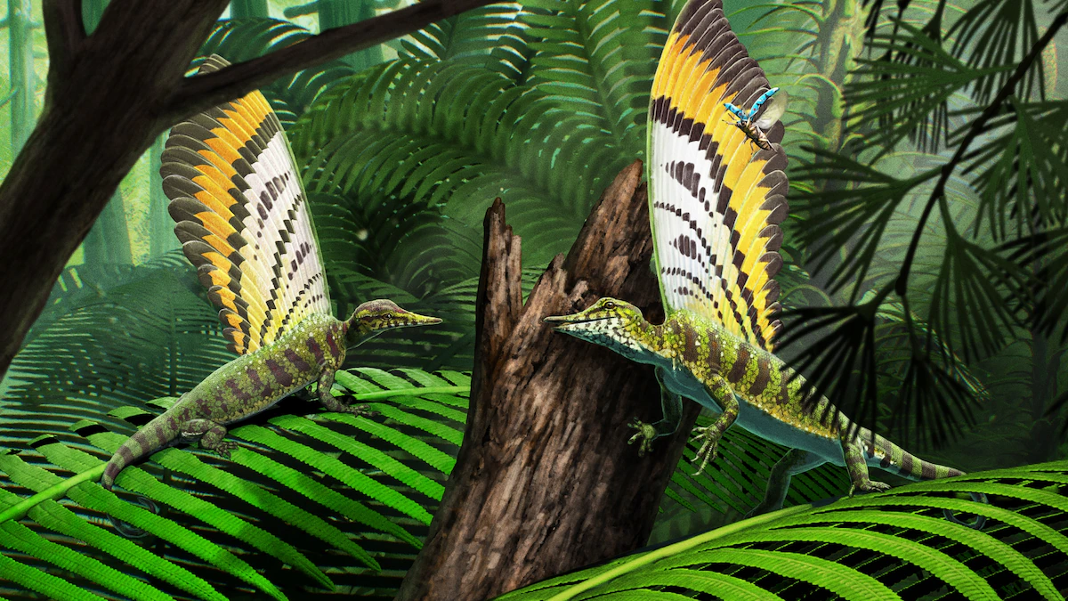 Is it a bird? A monkey? No, it's a 'miraculous' new prehistoric reptile
