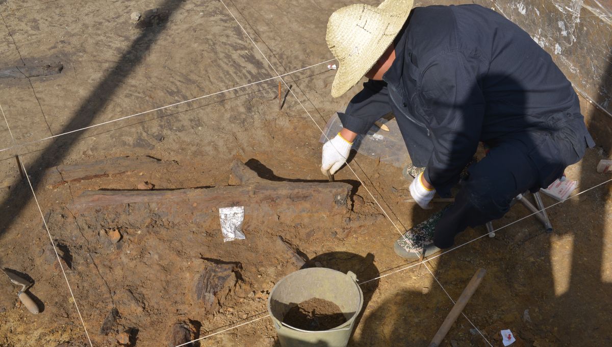 300,000-Year-Old Wooden Tools “Made By Denisovans” Discovered In China