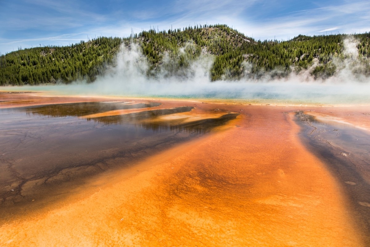 Yellowstone Hot Springs Create Perfect Environment for Ancient Microbes