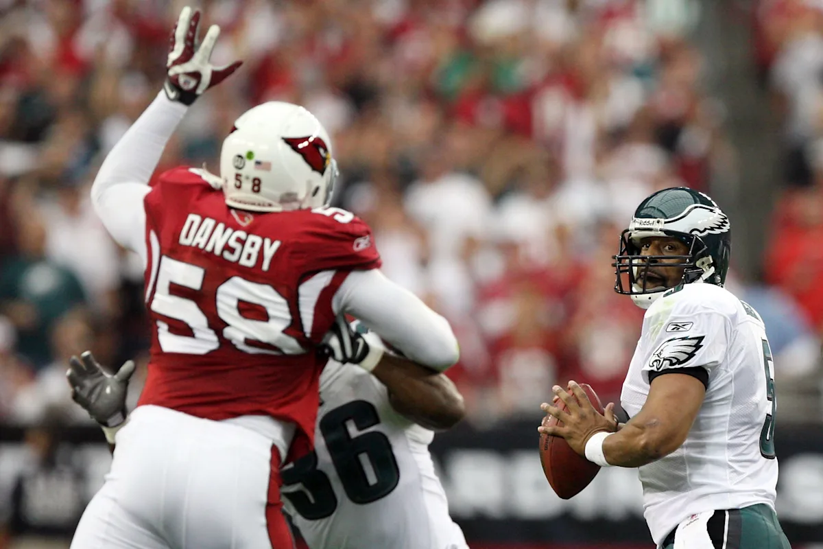 4 former Arizona Cardinals honored in 'Actually Underrated' team