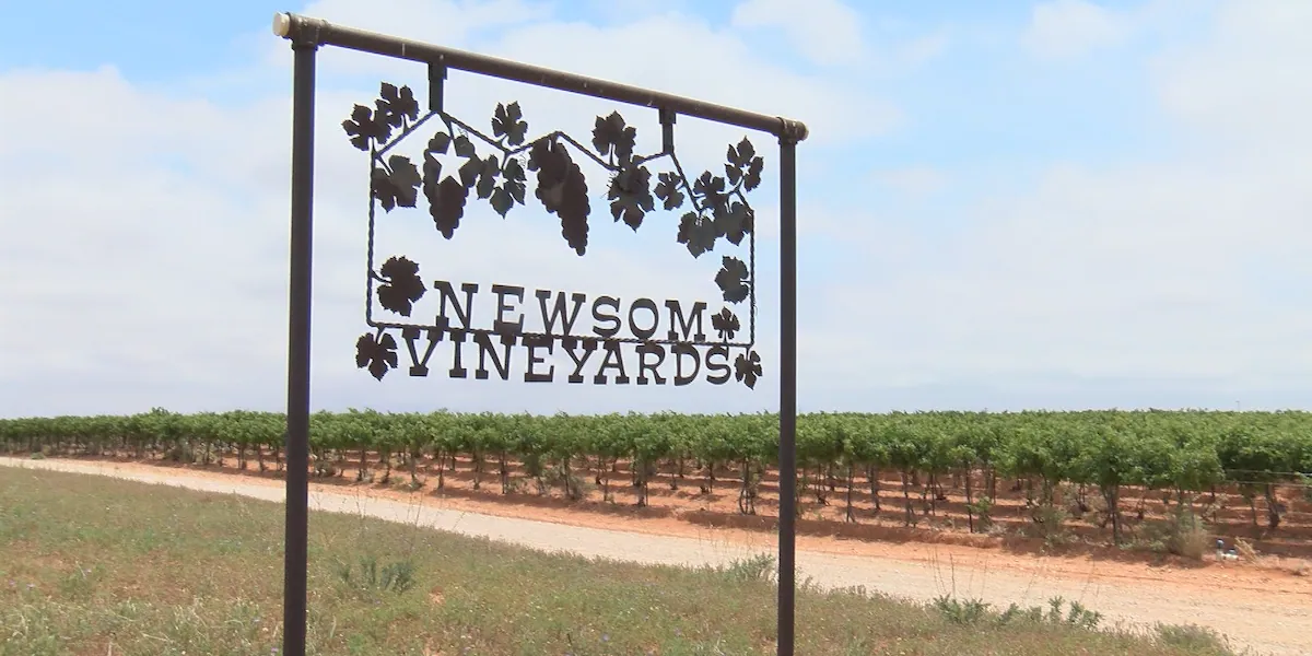 Newsom Vineyards: Family business in Plains grows beyond wine grapes