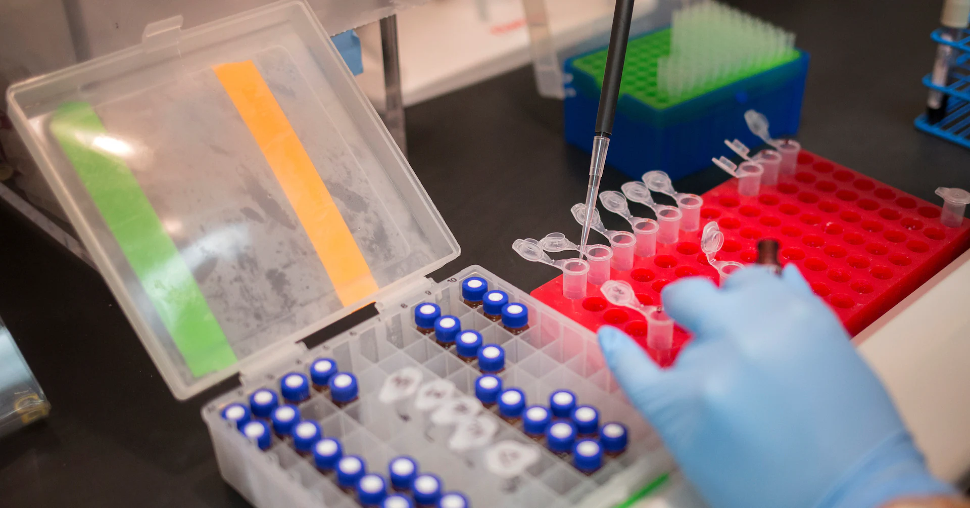 Congressional forecaster says Trump health research cuts would lead to fewer new drugs