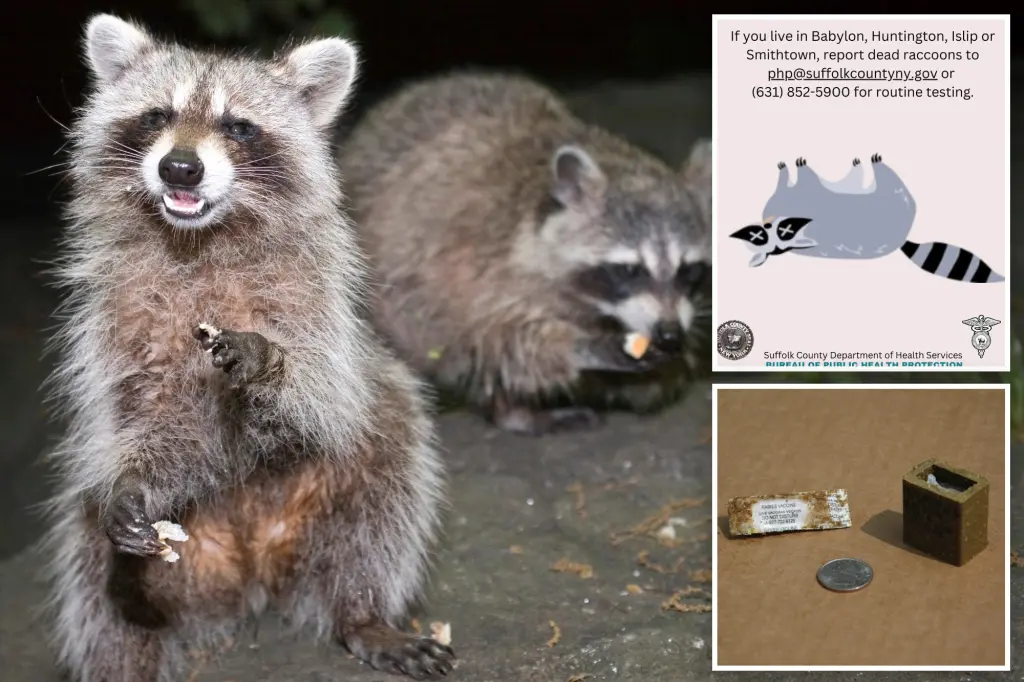 Rabies now an 'imminent public health threat' on Long Island, health...