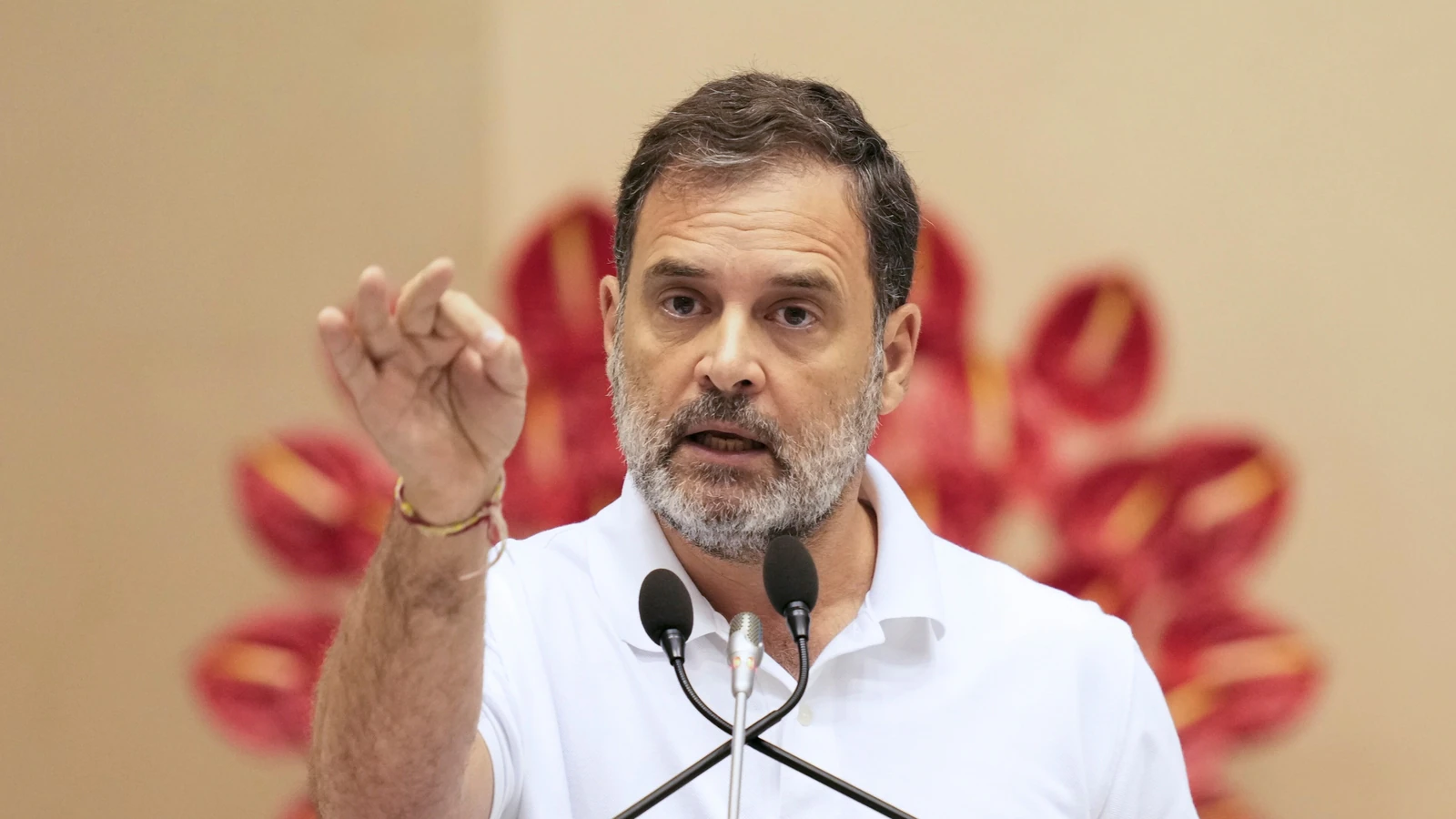 'These voiceless souls are not problems': Rahul Gandhi on Supreme Court stray dogs order