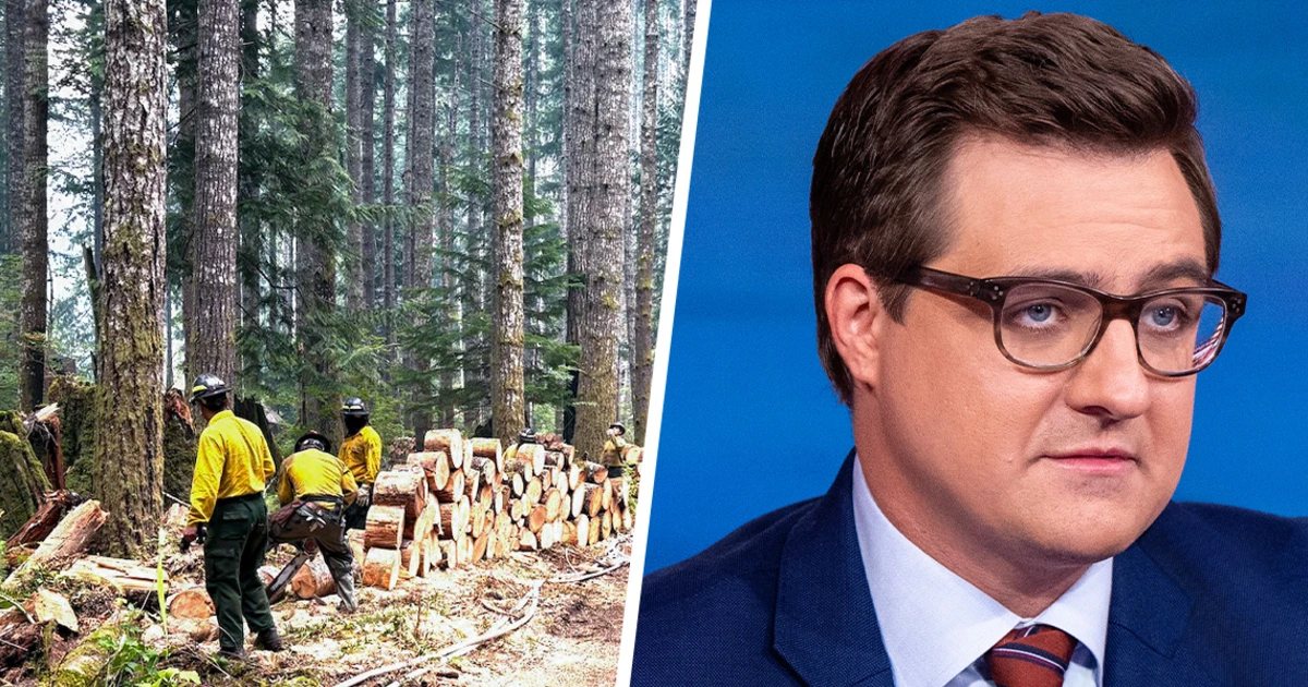 Chris Hayes: Trump's immigration crackdown sweeps up 2 firefighters battling a wildfire