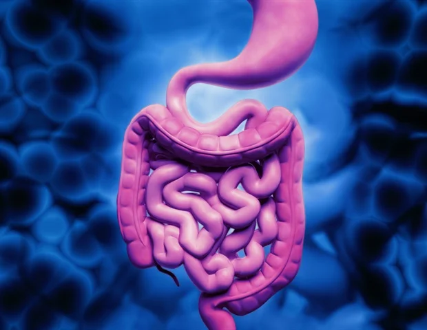 Yogurt intake and hot spring bathing together improve gut health