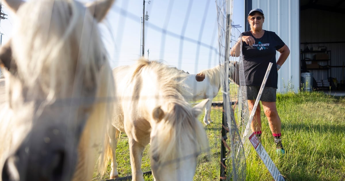Some rural Texans see THC as a lifeline for their health and economy