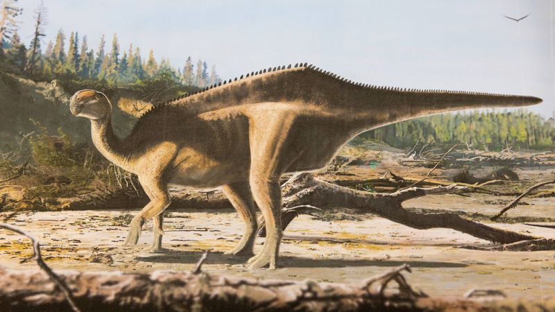 New dinosaur species with striking sail-like back discovered