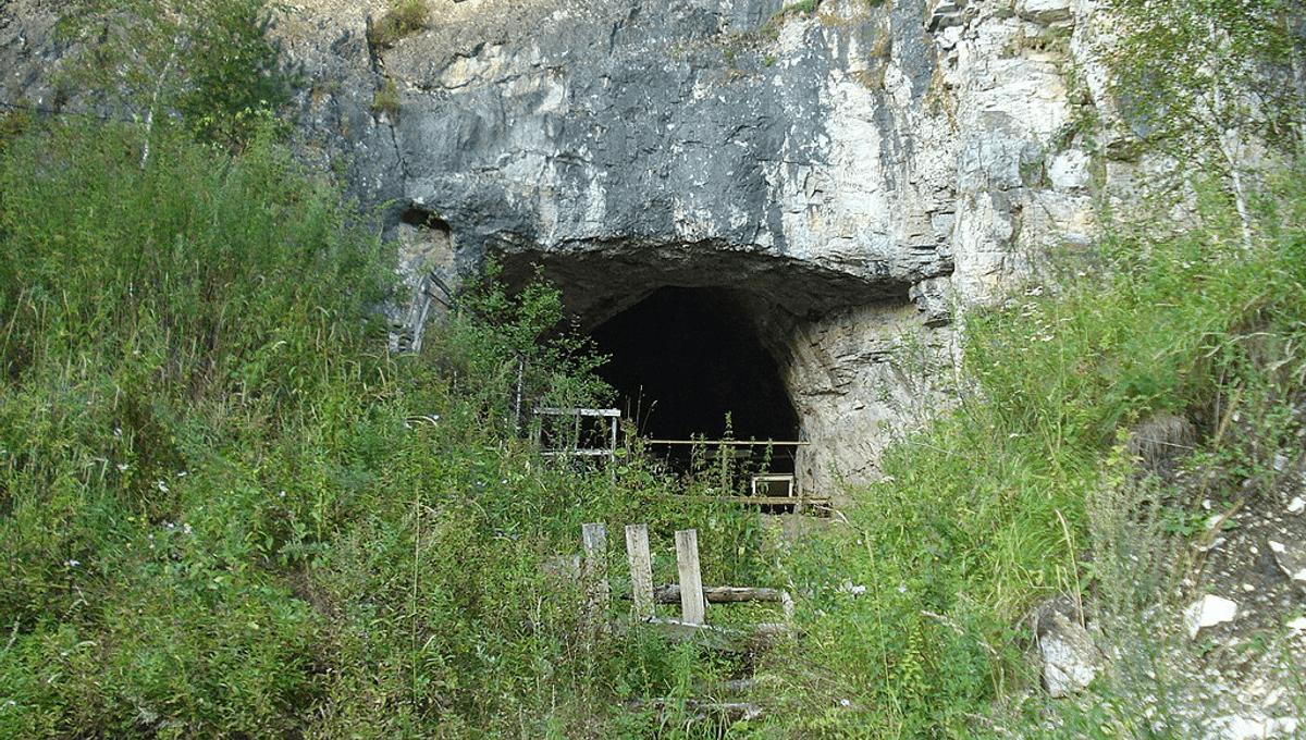 Denisovan DNA May Have Been Key To Humans Thriving In The Americas