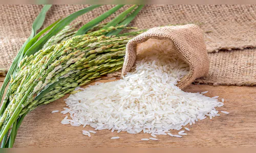 India eyes bigger slice of Philippines' $2.5 billion rice market with export push