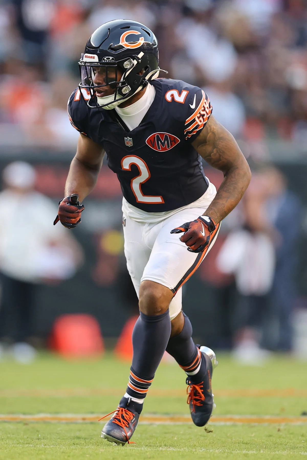 Fantasy Focus Part 3: Top 10 Bears