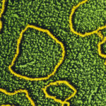 Scientists are Learning to Rewrite the Code of Life