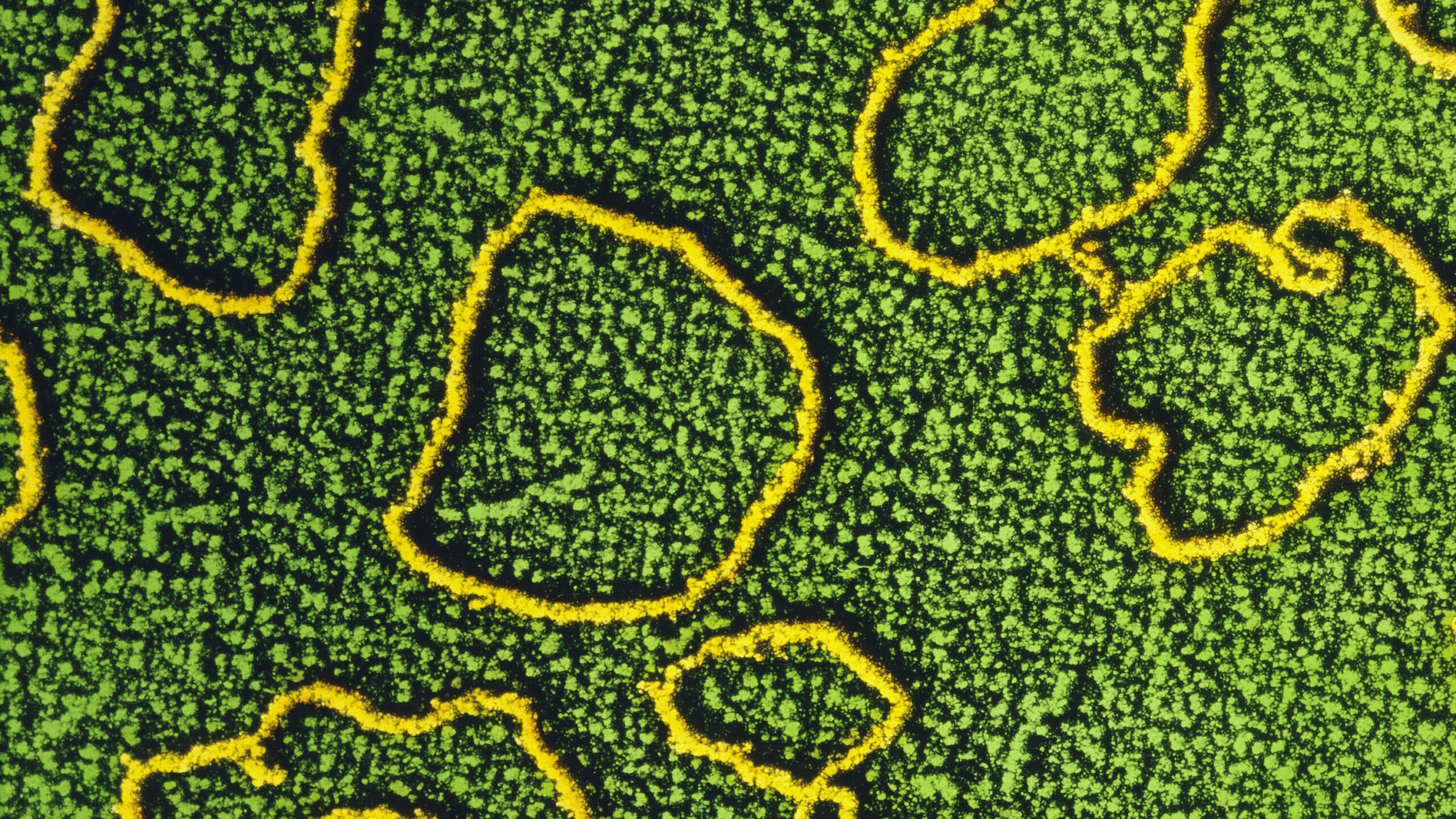Scientists are Learning to Rewrite the Code of Life