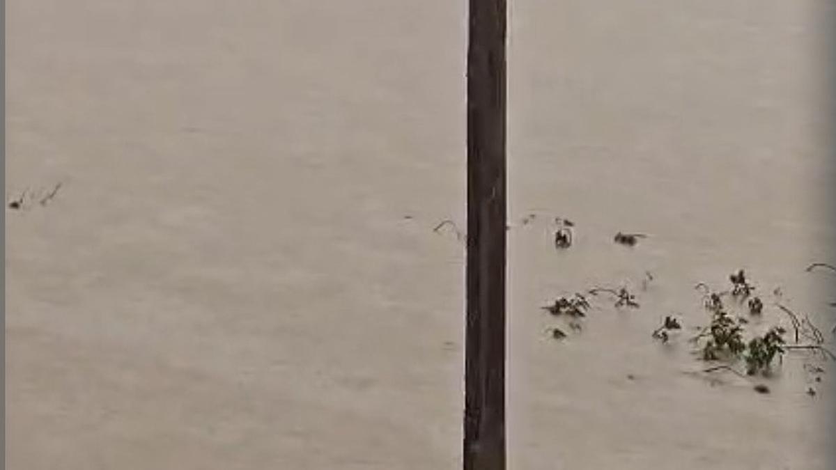 Rains damage 387 transformers, 1,465 poles; many restored on war-footing