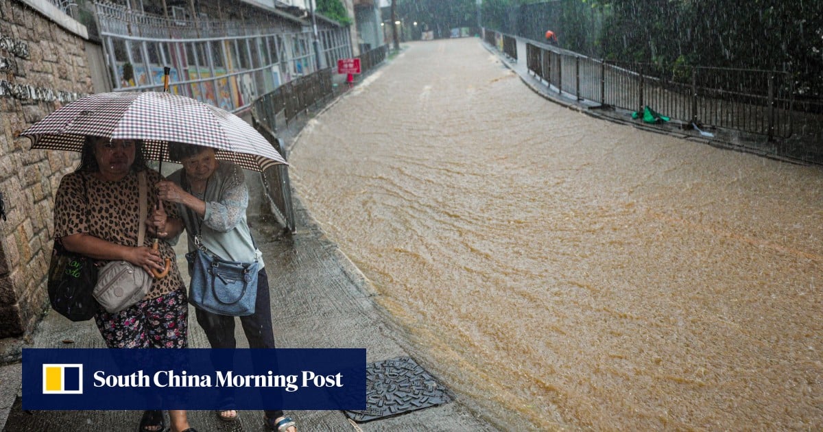 Letters | Hong Kong chief executive can’t treat the environment like a side dish