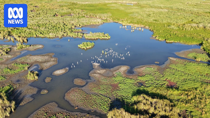 Halt on all environmental water flows in NSW prompts anger