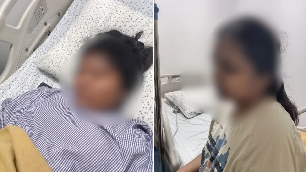 Day after top court's crackdown, stray dog attacks 2 Bengaluru University students