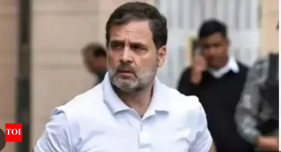 'Vote theft claims': EC slams Rahul; says threats to officials deplorable | India News