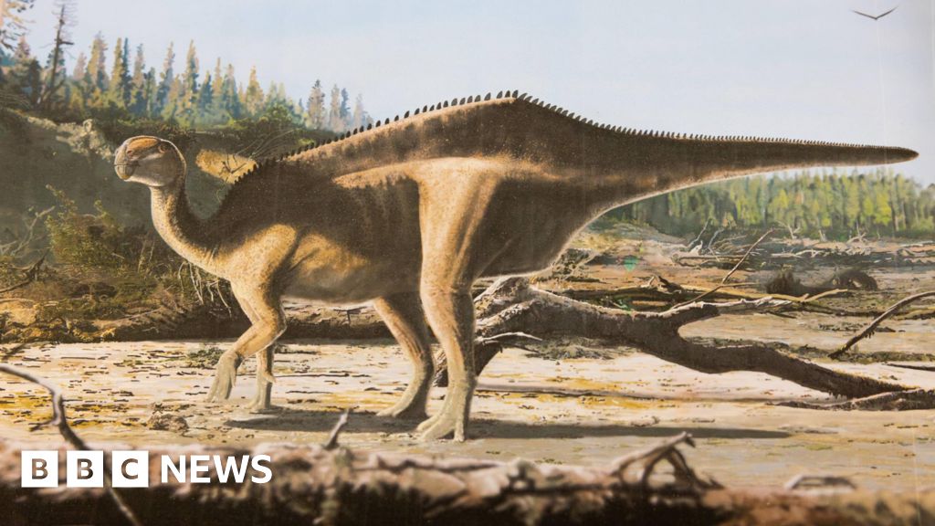 New ‘sail-backed’ dinosaur named after Dame Ellen MacArthur