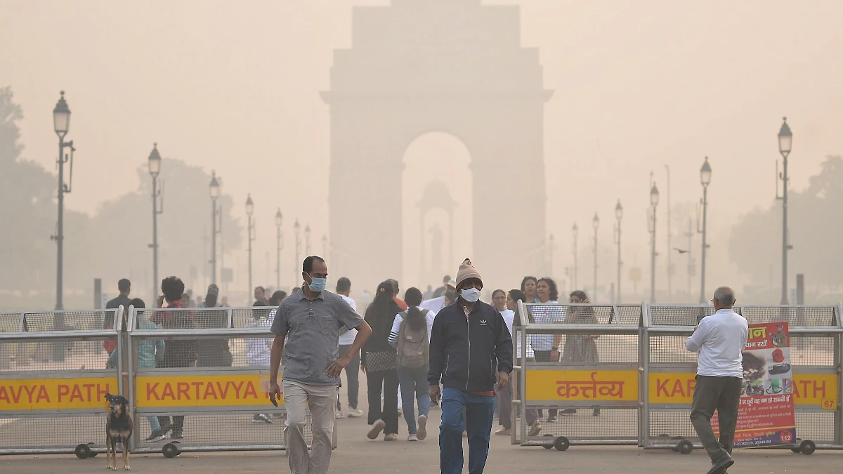 Delhi Police breaks up India Gate protest over Supreme Court's round up stray dogs order