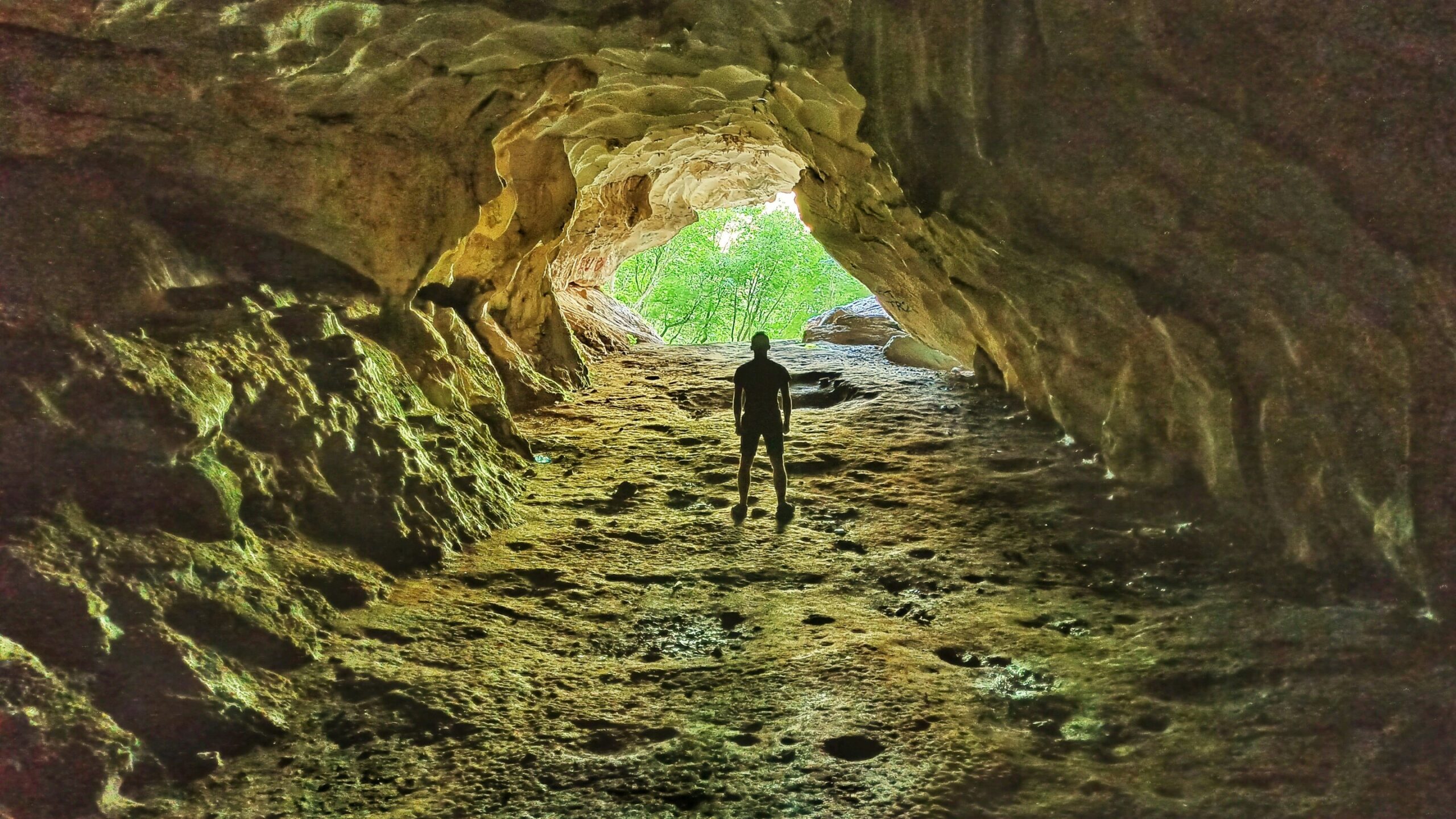 DNA from extinct hominin may have helped ancient peoples survive in the Americas