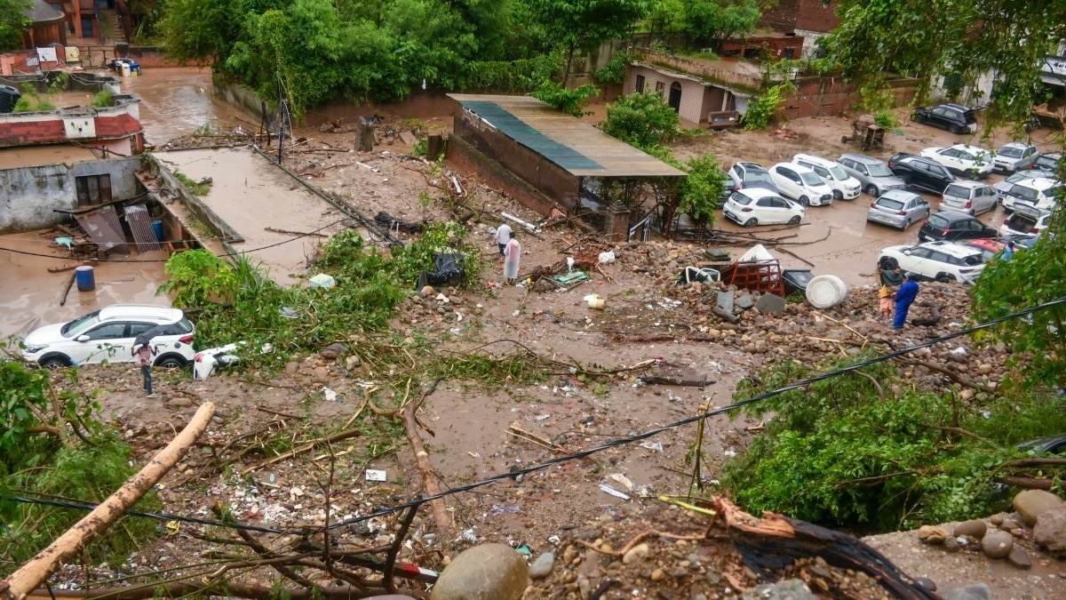 Nature's fury in 2025 is human-engineered. Let's accept it