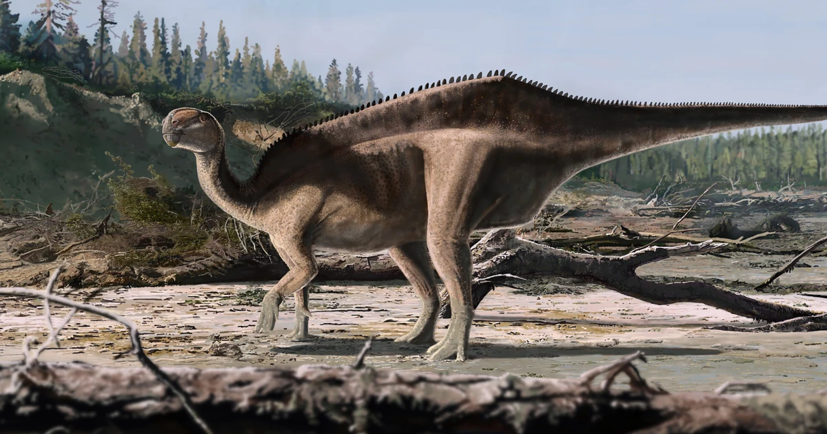 New species of dinosaur with a sail on its back is discovered in Britain