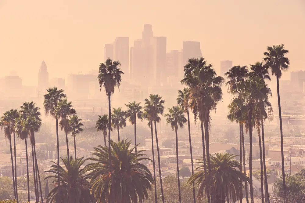 Measuring the impact of climate change on state and local governments’ fiscal health