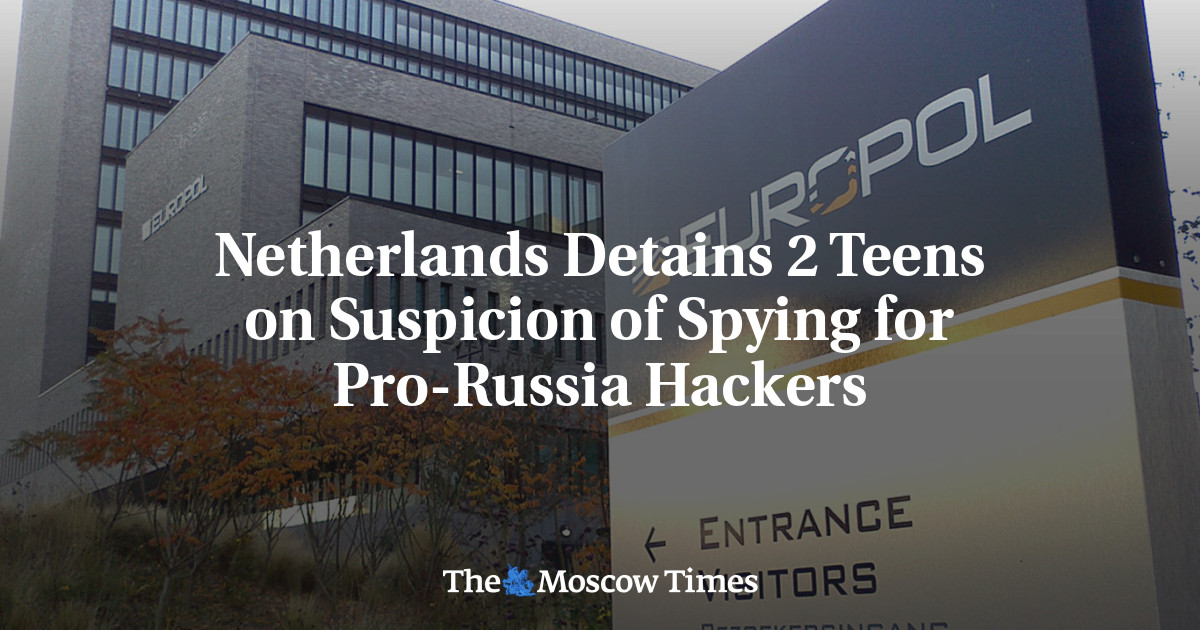 Netherlands Detains 2 Teens on Suspicion of Spying for Pro-Russia Hackers