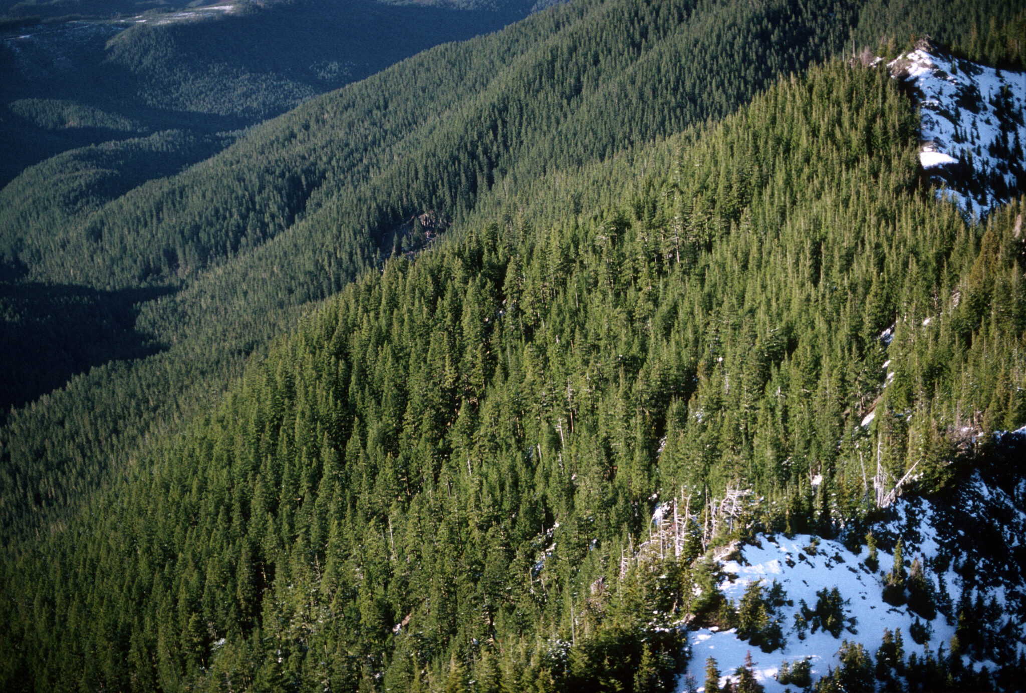 Oregon's environmental battleground