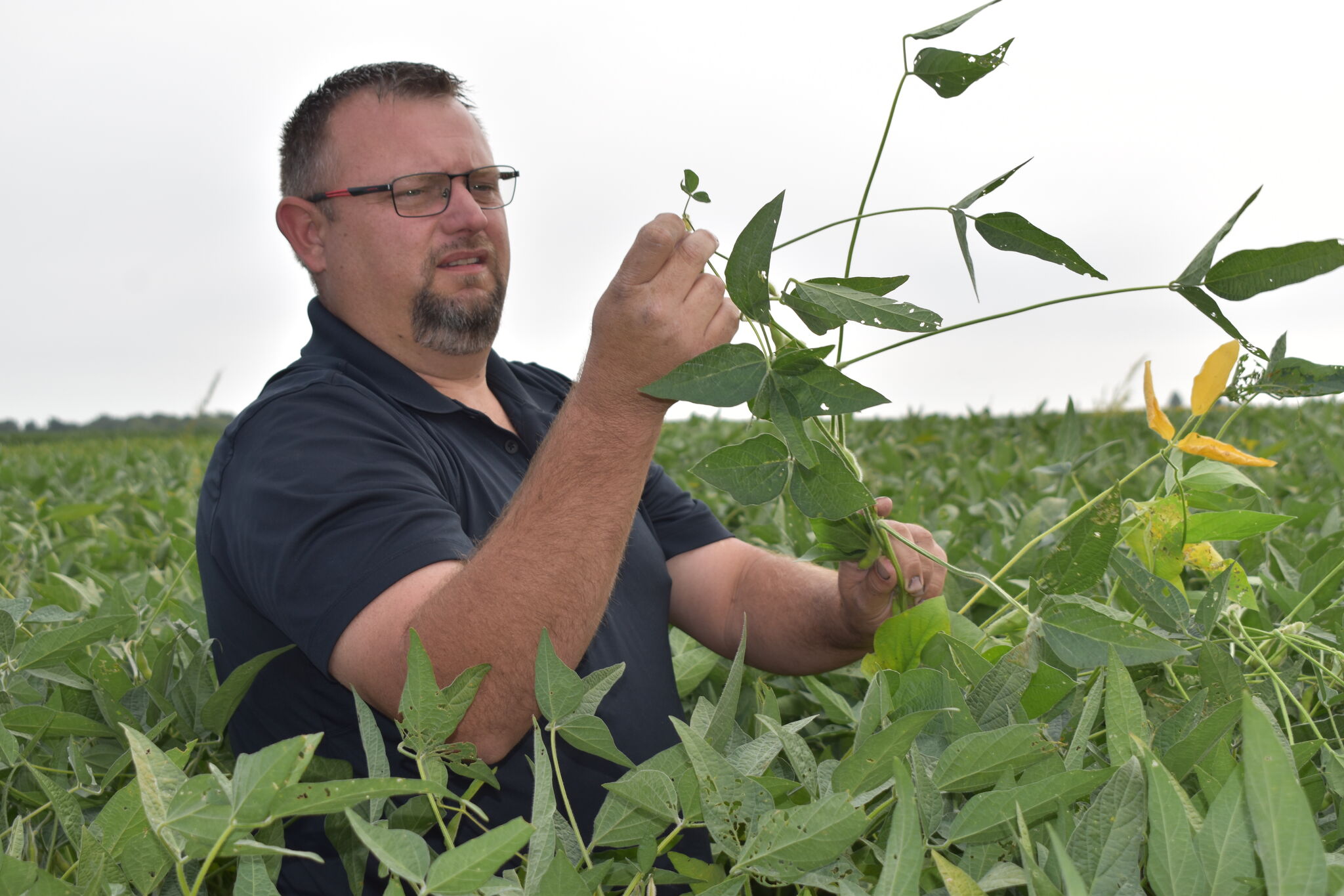 Biochar program offering farmers cash to boost soil health
