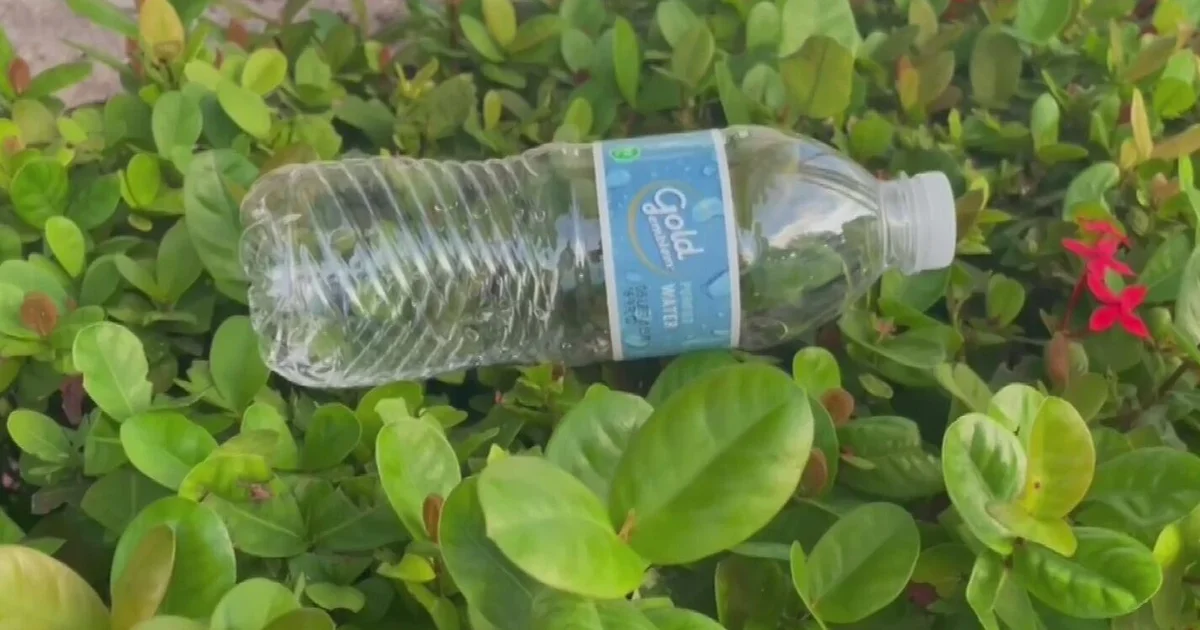 The potential dangers that plastic poses to our environment, health