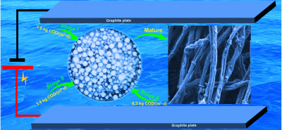 Response of aerobic granular sludge to organic loading rate under micro-electric stimulation environ