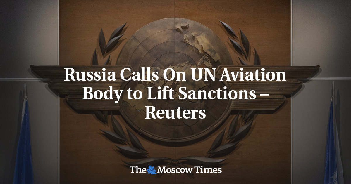 Russia Calls On UN Aviation Body to Lift Sanctions
