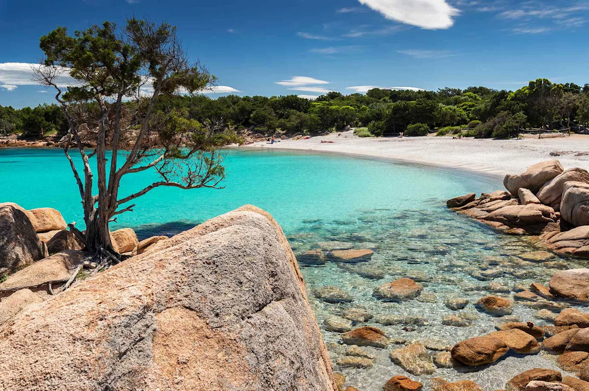 This Italian Town Is the World's Newest Blue Zone—and It’s Known for Its Vineyards and Gorgeous Beac