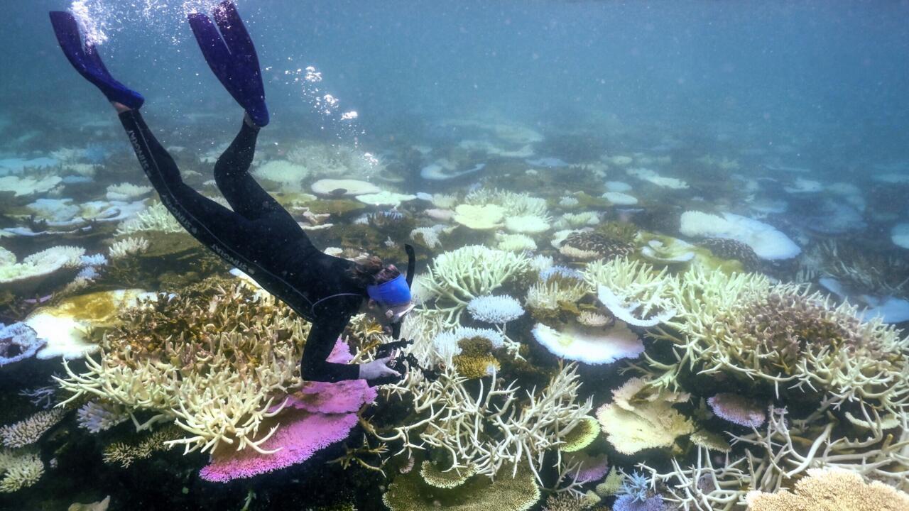 Earth fails another critical health check, but scientists say it's not too late